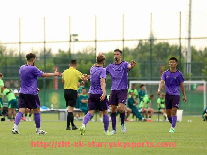 星空体育-解密意甲各支球队队徽的象征意义与设计故事